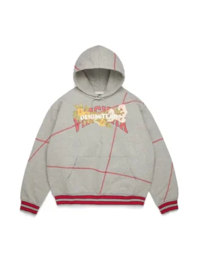 Sweat à capuche DT Virginia à coutures overlock, gris