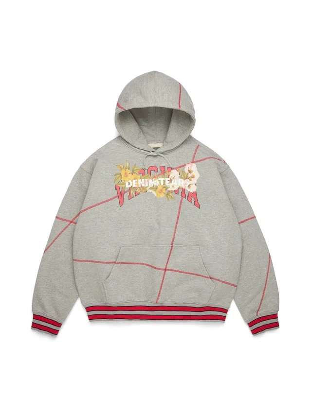 Sweat à capuche DT Virginia à coutures overlock, gris