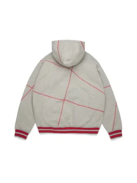Sweat à capuche DT Virginia à coutures overlock, gris