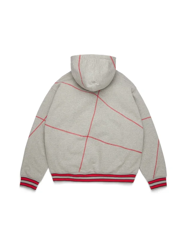 Sweat à capuche DT Virginia à coutures overlock, gris