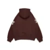 Sweat à capuche zippé DT avec écussons en chenille, marron