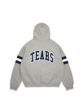 Sweat à capuche zippé à rayures DT, gris