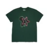 T-shirt Pan-African Star vert